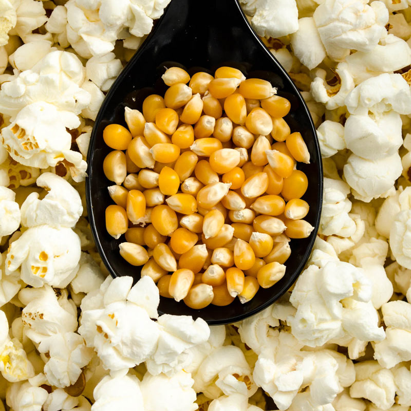 /storage/photos/1/Images/uploading/dried-corn-kernels-popped-popcorn-frame-pop-background-108249561.jpg